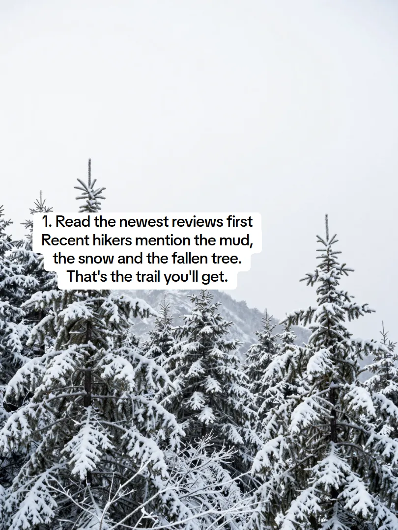 1. Read the newest reviews first Recent hikers mention the mud, the snow and the fallen tree. That's the trail you'll get.